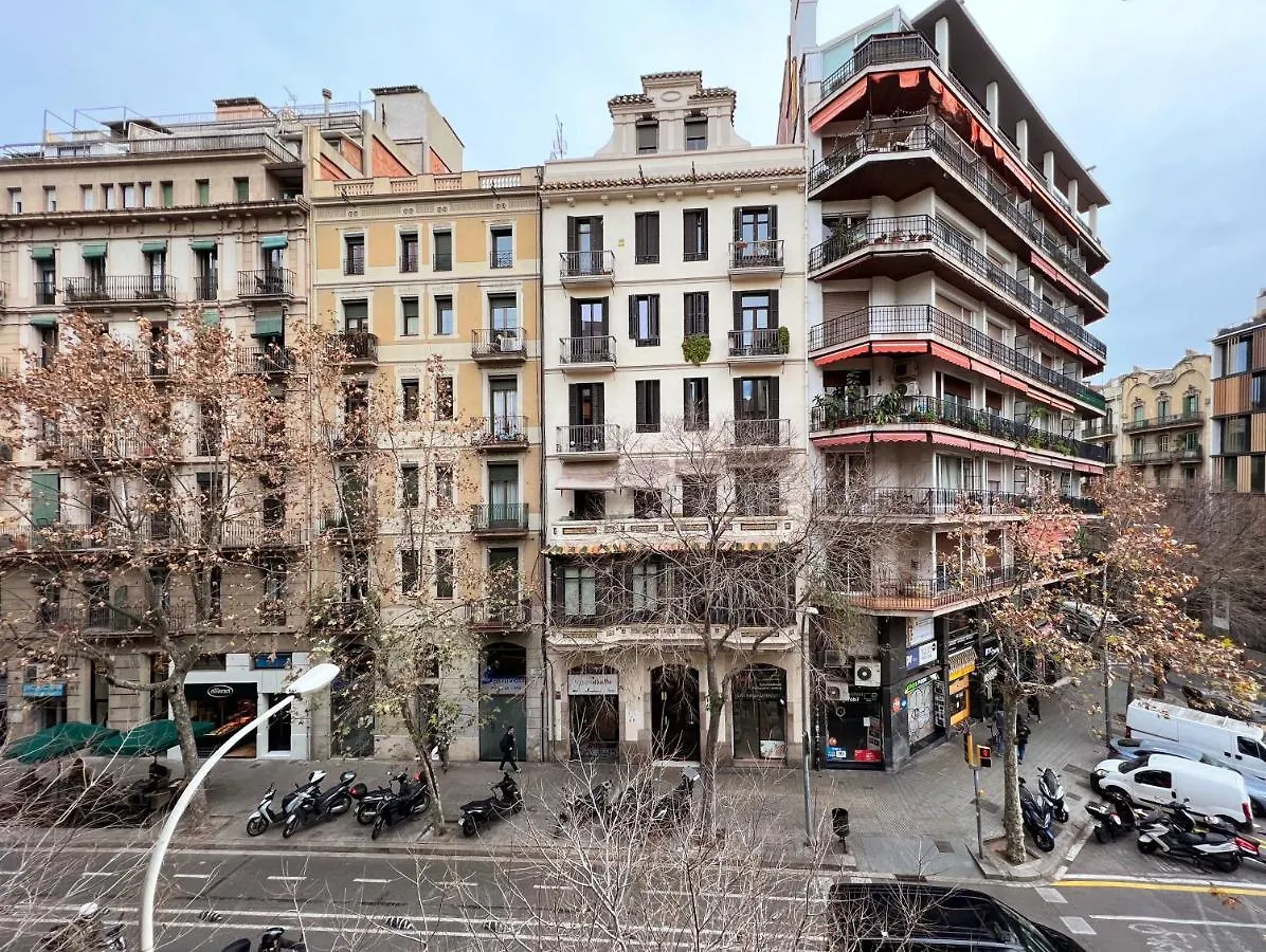 Lolita Bcn Apartment En El Eixample Barcellona Spagna